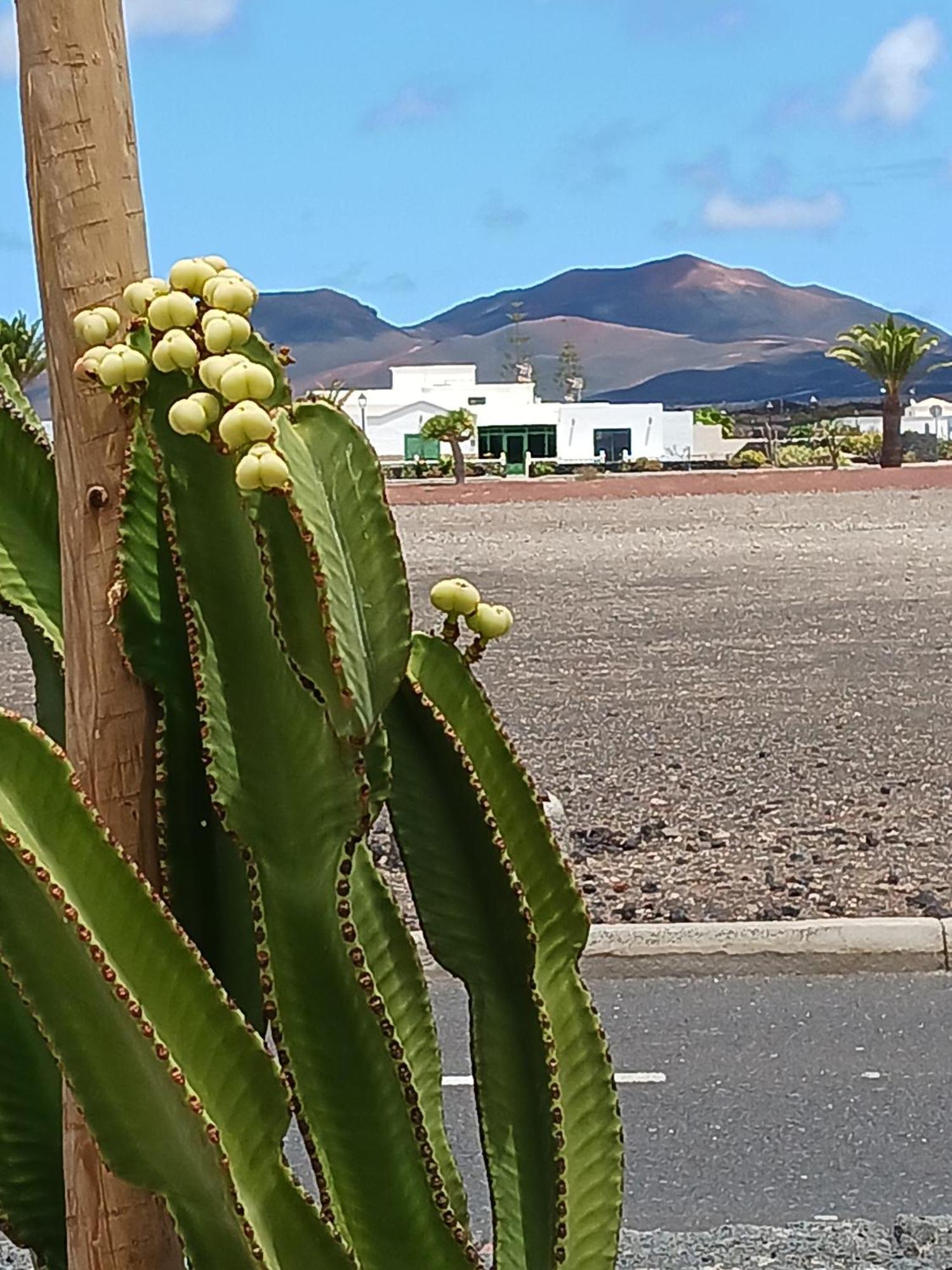 Casa Volcanes Дом отдыха *